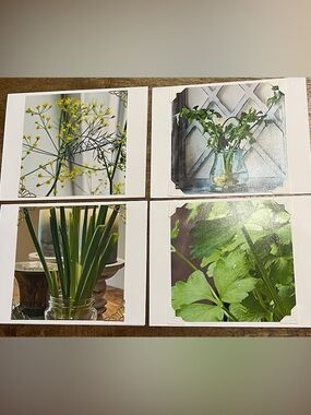 Set of 4 Botanical Photo Greeting Cards